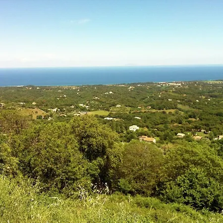 A Nuciola I * Cervione